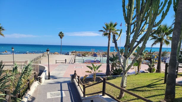 Een geplaveid pad dat naar een strand leidt, met palmbomen en helder uitzicht op de oceaan.