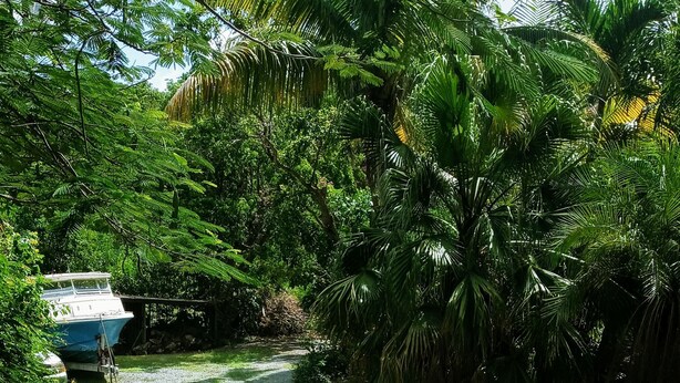A gravel path in a lush, green area with a boat docked on the left. - The Boat Shed (Christiansted)