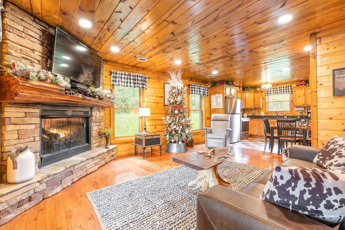 TV connectée, cheminée, lecteur de DVD, vidéothèque