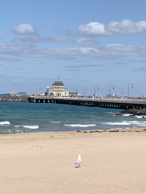 A beach with a pier extending into the water, a seagull on the sand, and a building with a dome roof in the background.