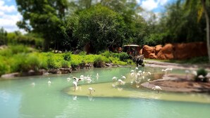 منوع