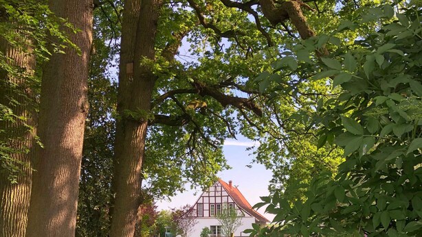 A traditional house with a sloped roof, surrounded by lush greenery and flowering plants. - Vacation home Anton Schmitz Anno 1895 (Tecklenburg)