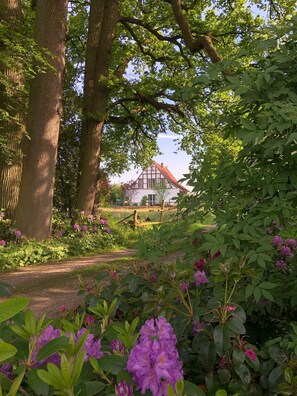A traditional house with a sloped roof, surrounded by lush greenery and flowering plants.
