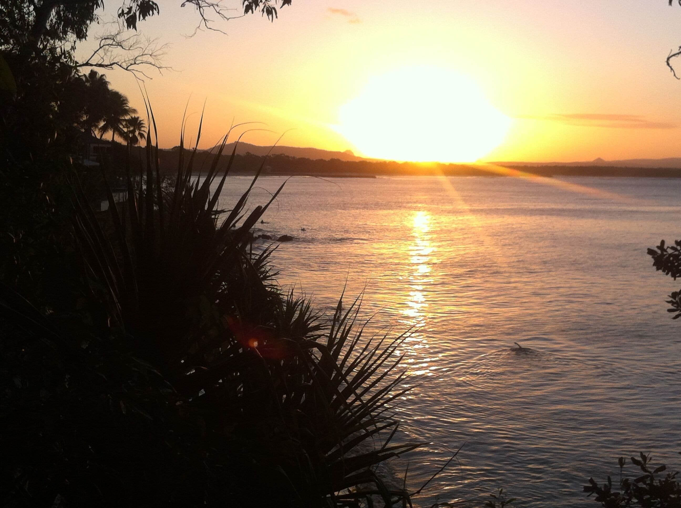 Stroll to Noosa Main Beach and Hastings St. Dog friendly. — image 4