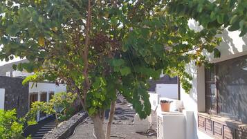 Àrea exterior de l'allotjament