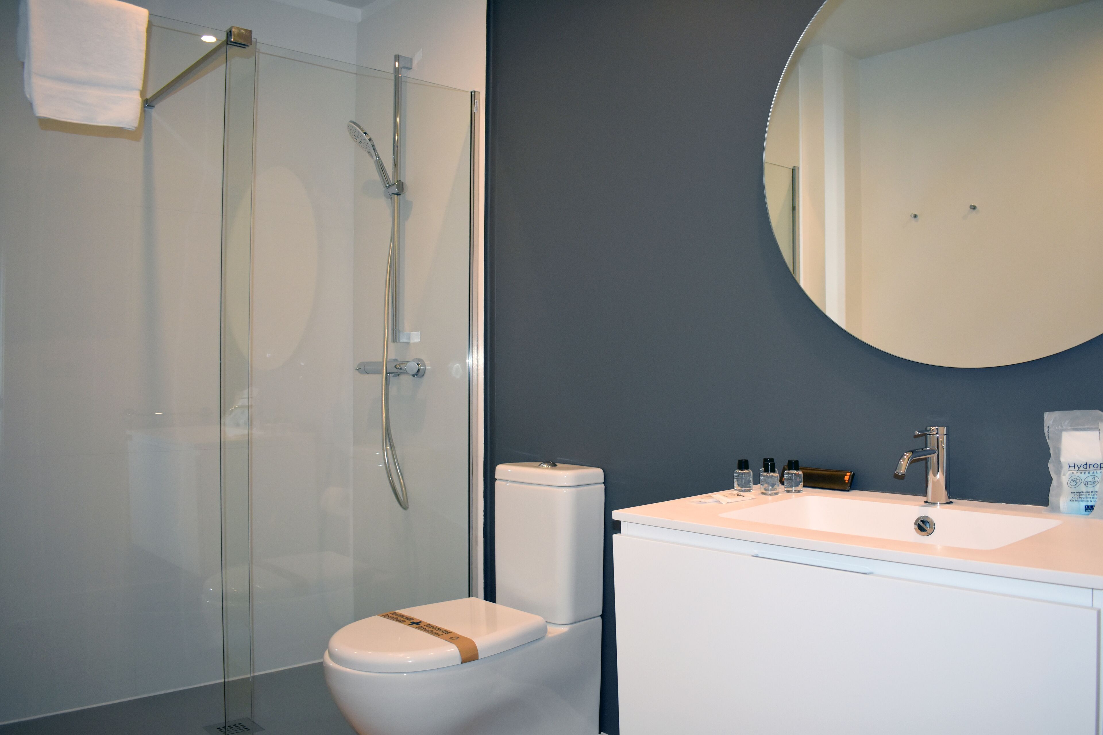 A modern bathroom with a glass-enclosed shower, a white toilet, and a sink with a mirror above it.