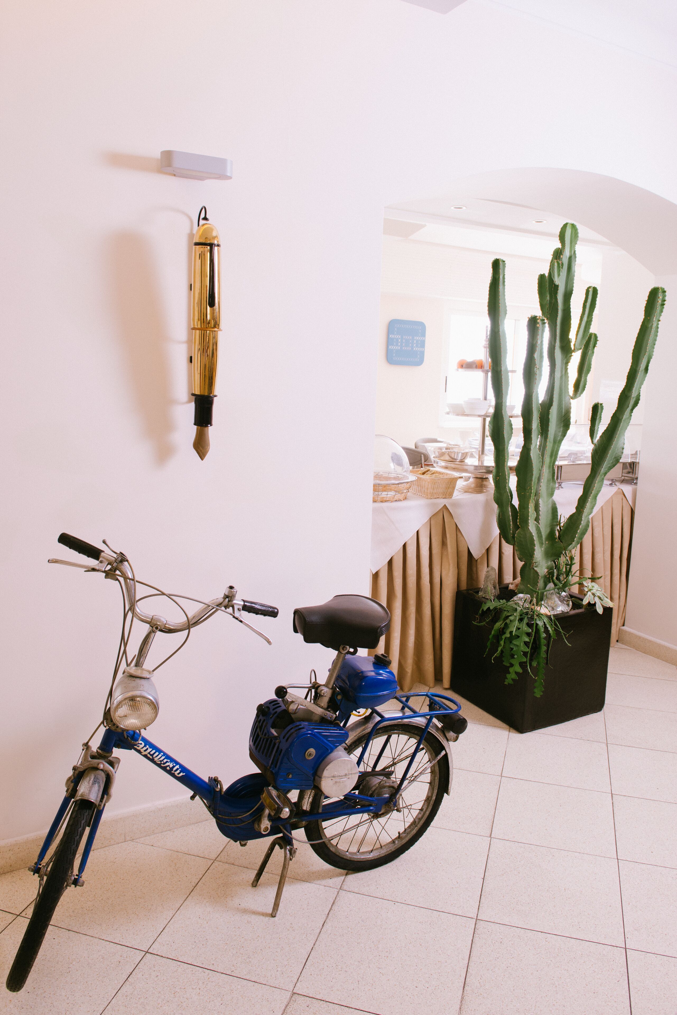 A blue bicycle parked indoors with a cactus in a black planter.