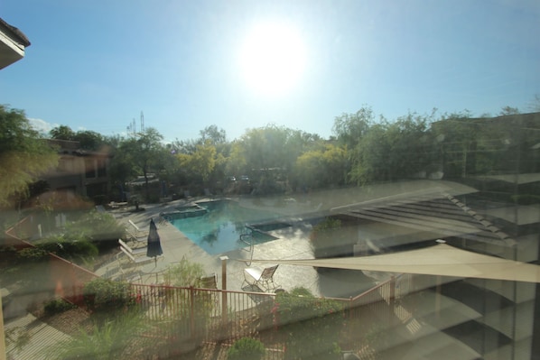 Pool view from our kitchen.