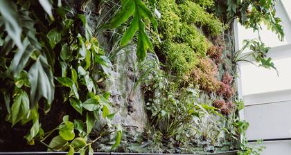 Hotel Catalina Plaza