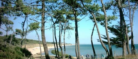Beach nearby