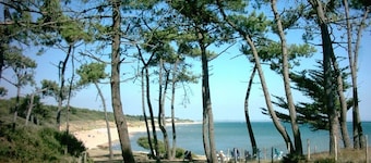 Large Family Home, 100 m from the harbor; sleeps 8–10