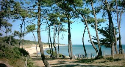 Large House 100 meters from the harbor and 5 minutes from Boisvinet Beach
