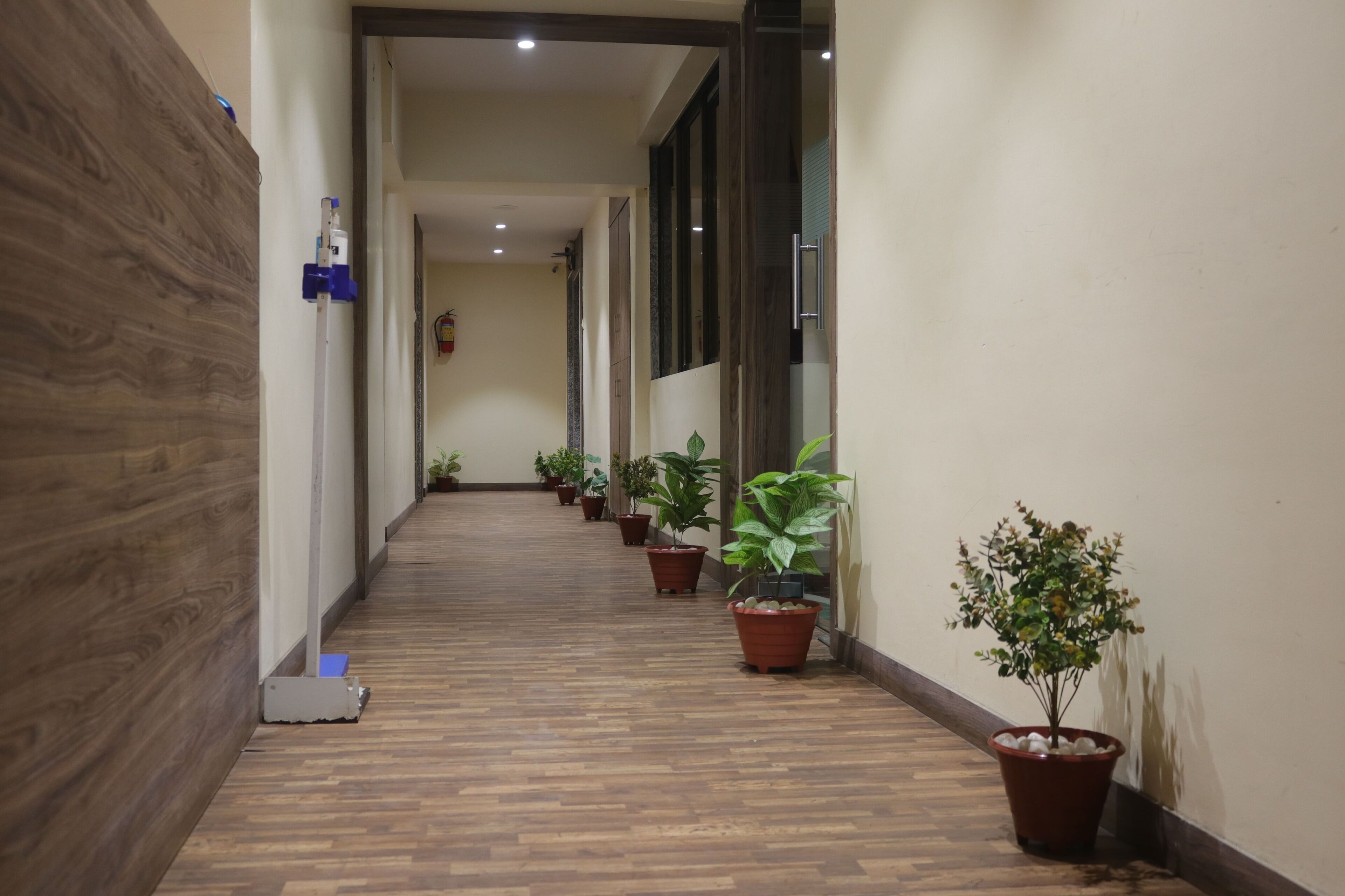 A hallway with wooden flooring, potted plants, and a blue object on the left wall.