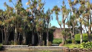 Un giardino con alte palme, uno stagno ricoperto di ninfee e un muro in mattoni sullo sfondo.