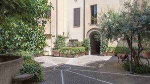 A courtyard with a cobblestone floor, potted plants, and a bicycle. - Quiet roof terraces close to trevi fountain (Roma)