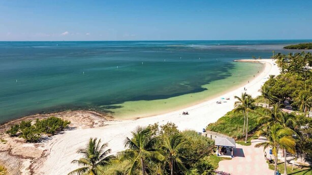 A beach with clear turquoise water, a sandy shore, and palm trees. - Sombrero Beach Retreat w/ 60' Dock & Private Pool! (Marathon)