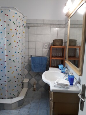 Shower, hair dryer, bidet, towels