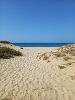 A sandy beach with dunes and a clear blue sky.