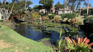 Un jardin avec un étang, des palmiers et un petit pavillon.