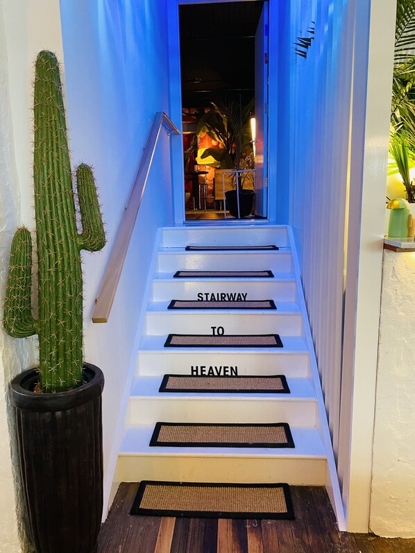 Luokittelematon kuva, 1 kautta 9, painike