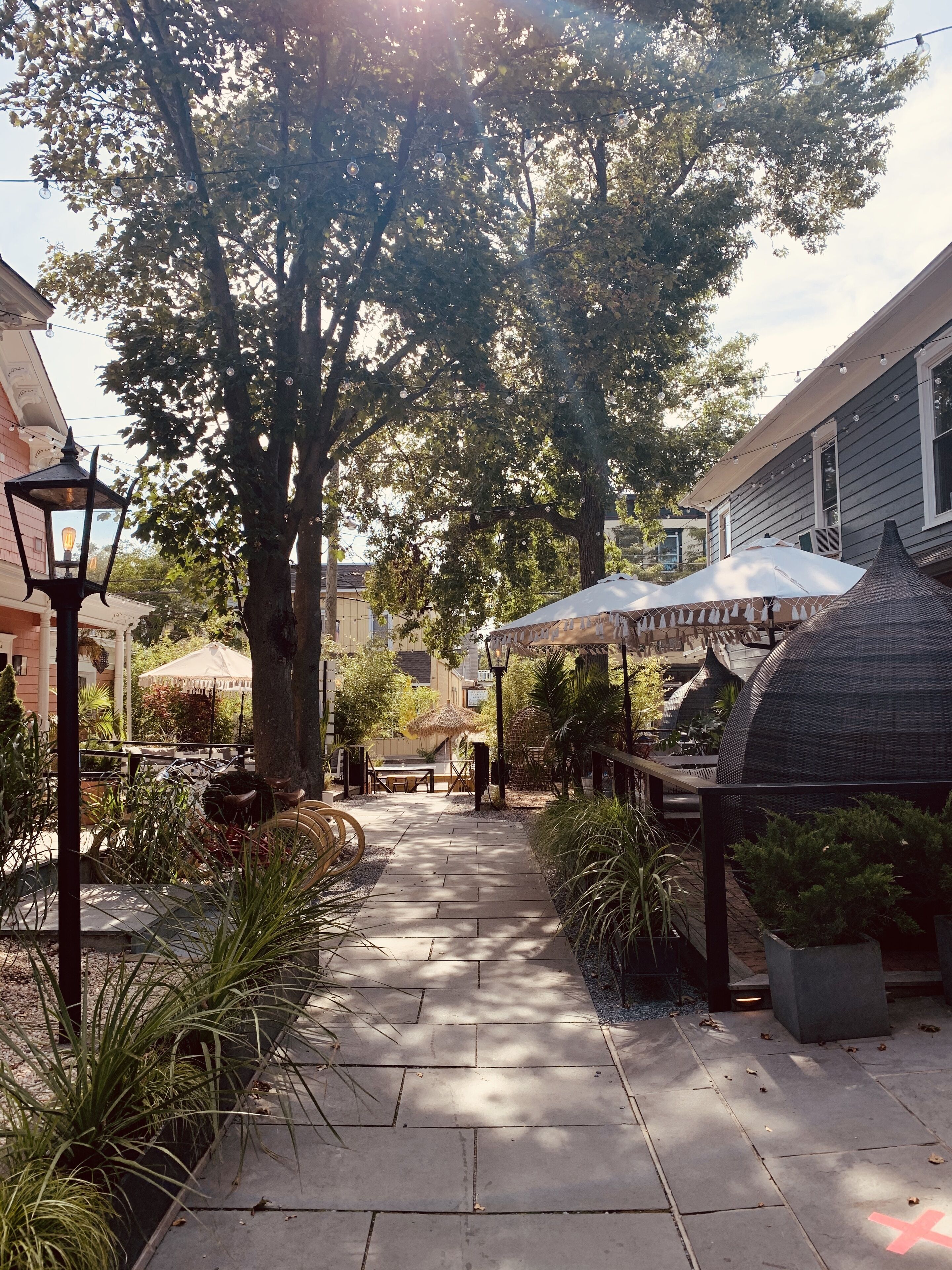 A paved walkway lined with potted plants and a thatched-roof table under a string of lights.