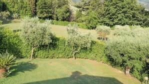 Un paysage verdoyant et luxuriant, avec une grande variété d’arbres et d’arbustes, une pelouse bien entretenue et une chaîne de montagnes en arrière-plan.