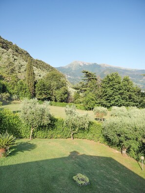 Property grounds - Villa with wonderful private pool and garden for up to 12 people (Camaiore)