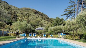 Une piscine rectangulaire aux carreaux bleus, entourée de chaises longues et de parasols, avec en arrière-plan des arbres et une colline.