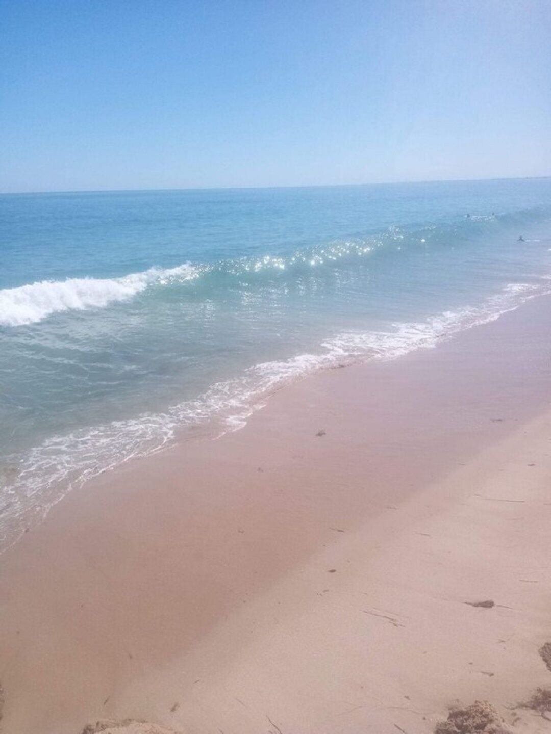 Ein Strand mit blauem Himmel und ruhiger Wellenbewegung.