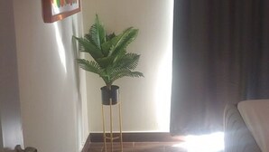 Habitació amb televisió de pantalla plana penjada a la paret, una planta en test i un llit amb un estora gris, i una finestra amb cortines.
