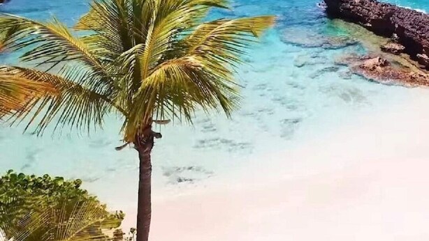 Una platja amb aigua turquesa cristal·lina, una palmera i roques.