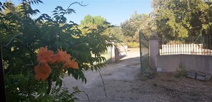 Terrein van de accommodatie