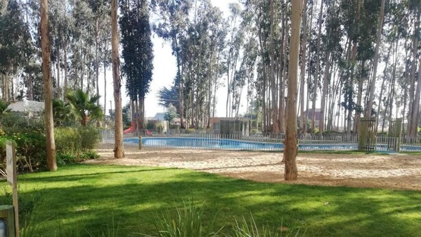 Zona verde con árboles y piscina cercada.