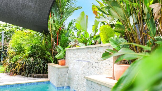 A pool with a waterfall feature, surrounded by lush tropical plants and a stone wall. - Tranquil Palm Cove Retreat with Heated Pool, Lush Gardens & Steps to the Beach (Palm Cove)