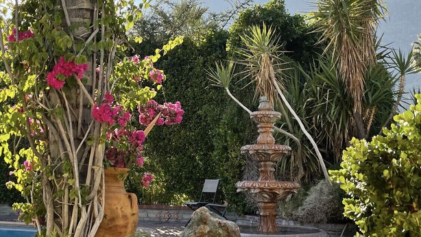 Un jardí amb una font, vegetació exuberante i una muntanya al fons.