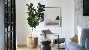 Uma sala de estar moderna com um sofá cinzento, um armário preto, uma grande planta verde e um quadro na parede.