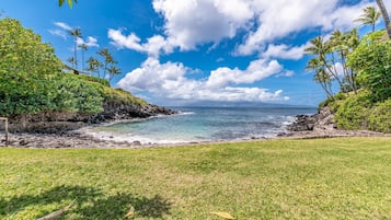 Plage à proximité, chaises longues, serviettes de plage