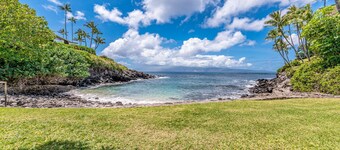 Napili Maui Paradise Getaway – 5BR Home for 14 with Ocean View
