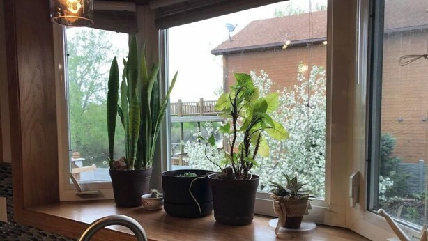 Une cuisine avec un rebord de fenêtre où sont disposées différentes plantes en pot, un robinet en métal et une vue sur une terrasse en bois et une maison.