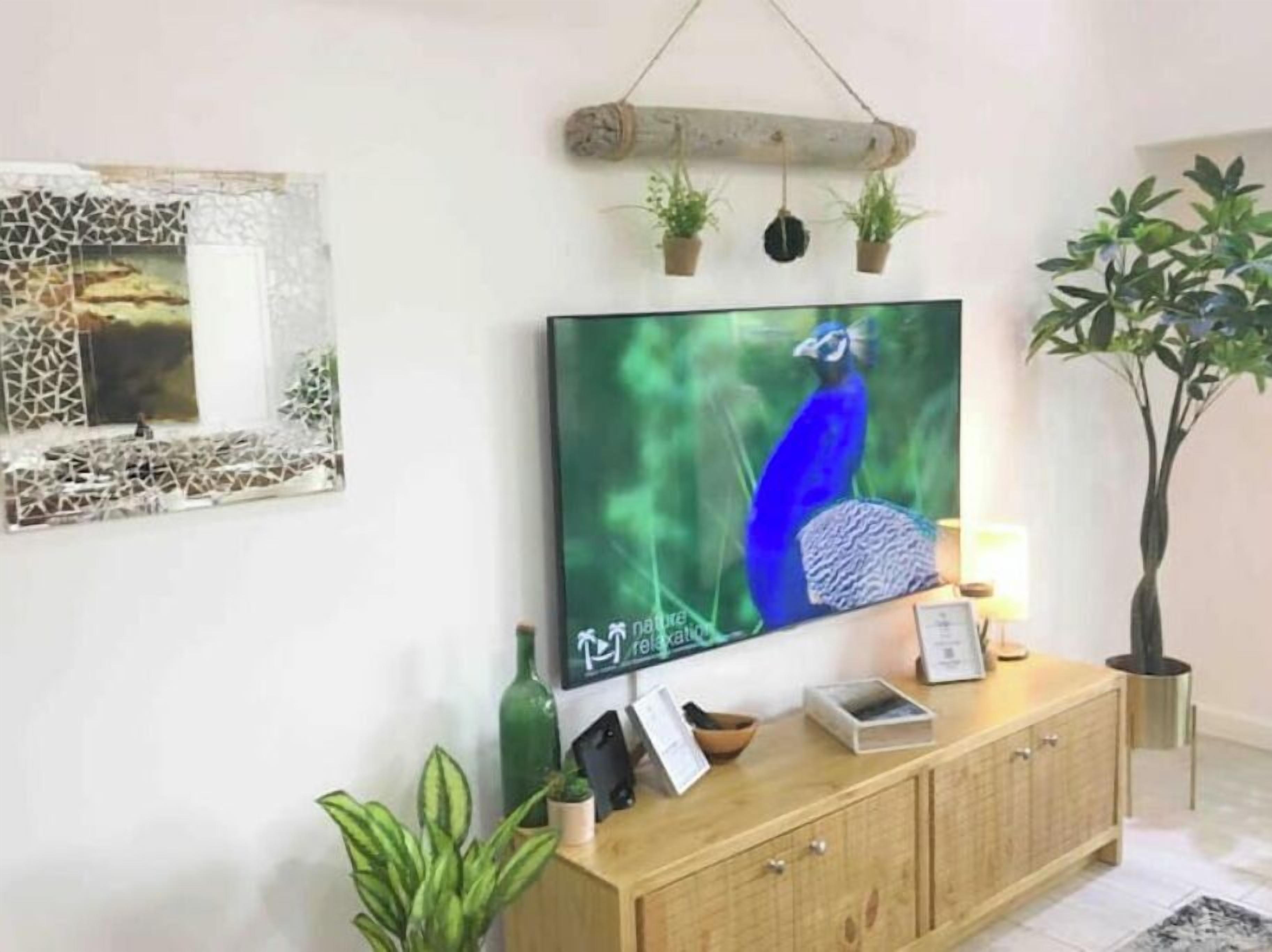 A living room with a flat-screen TV mounted on the wall, a wooden cabinet below, and a potted plant to the right.