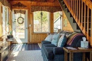 Televisión, chimenea, libros