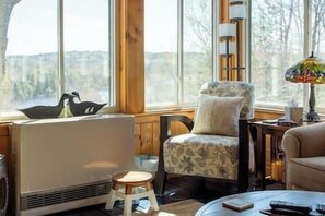 Televisión, chimenea, libros