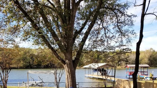 A lakeside outdoor seating area with blue chairs and a fire pit. - Pop's Lakefront Retreat.<br>Remodeled clean and comfortable. (Mabank)