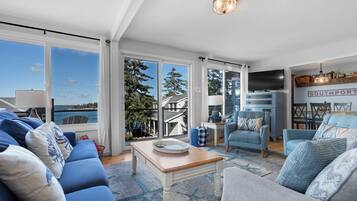 TV, video games, DVD player, books