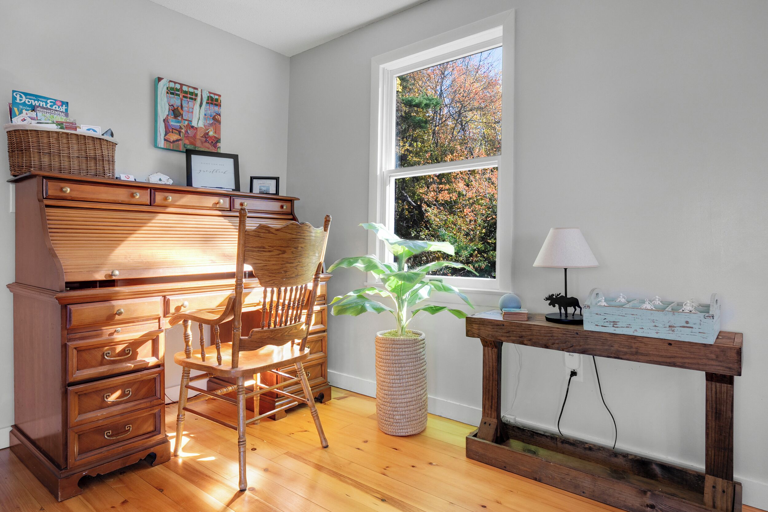 Een kamer met een houten bureau, een stoel, een grote potplant, een lamp en een raam met uitzicht op bomen.