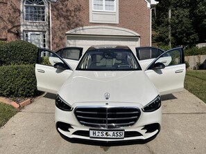 Property grounds - Luxury European style (22 mins from Atlanta) (Marietta)