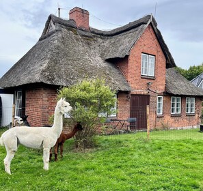 Een bakstenen huis met rieten dak en een omheinde tuin.