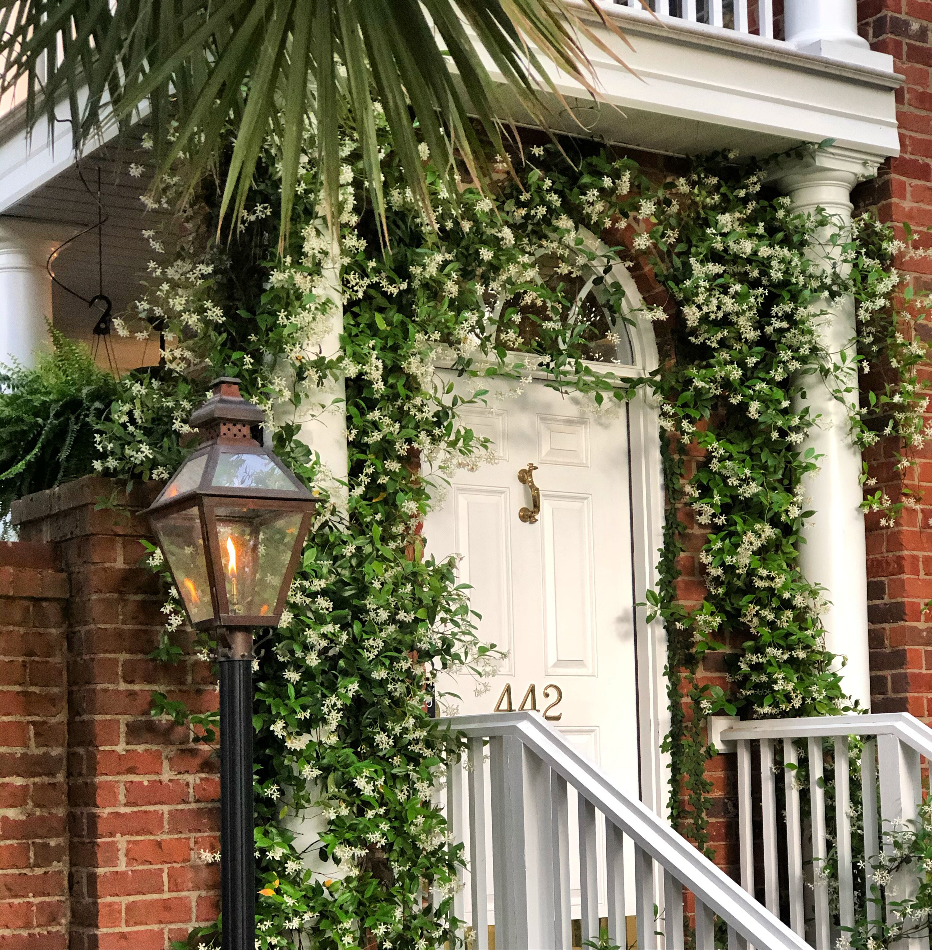 Renovated Home in Downtown Aiken