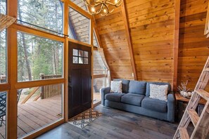 TV, Netflix, DVD player, streaming services