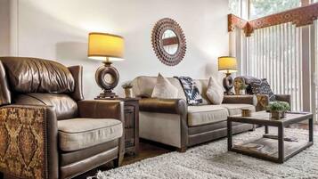 TV connectée, cheminée, lecteur de DVD